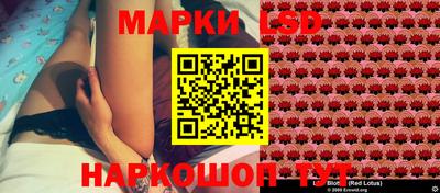 PSILOCYBIN Нальчик
