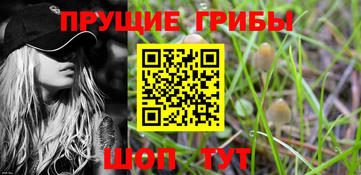 Галлюциногенные грибы Psilocybe  Вход с VPN  Фурманов 